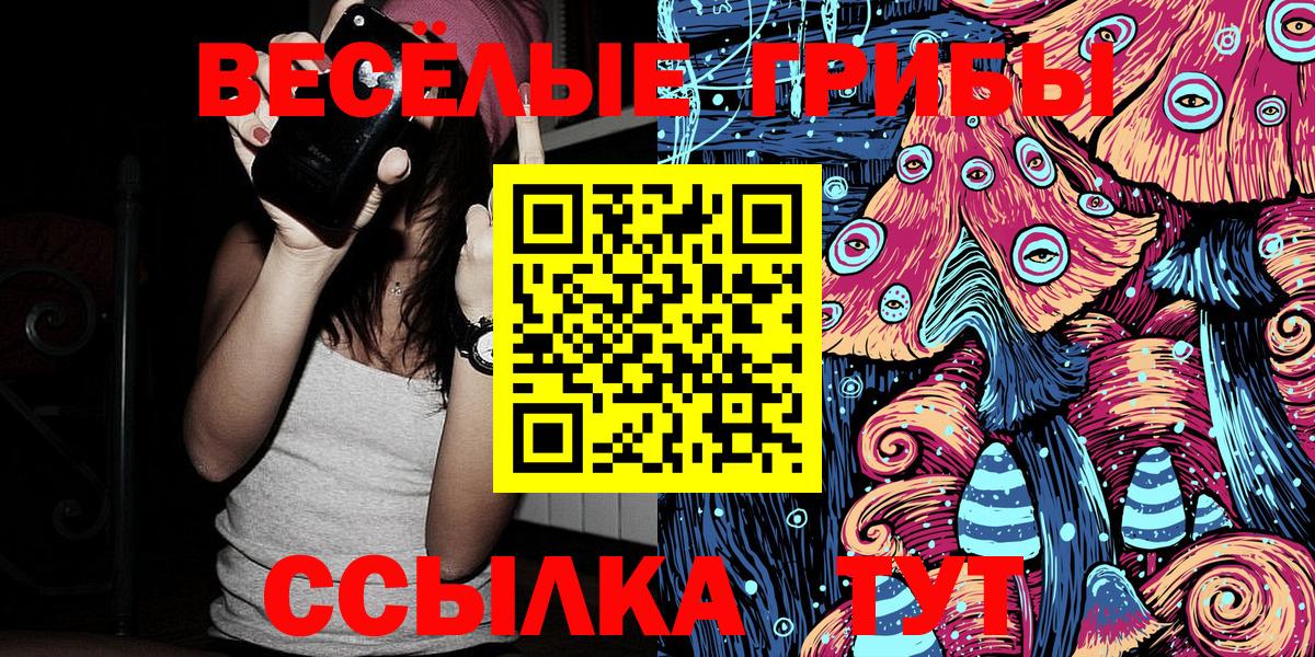 Псилоцибиновые грибы Psilocybe  Вход с VPN  Феодосия 